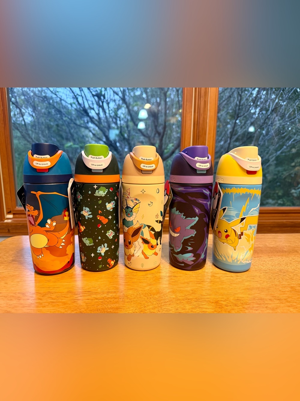 Owala x Pokemon 5 pc set Eevee Pikachu Gengar Charizard Kanto